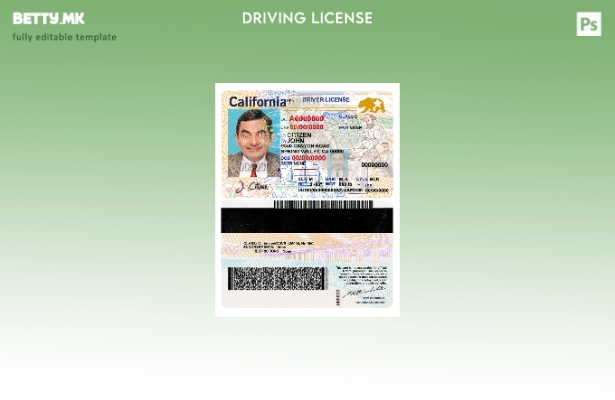 Модерен стил USA California DL (, јануари – сегашност) шаблон